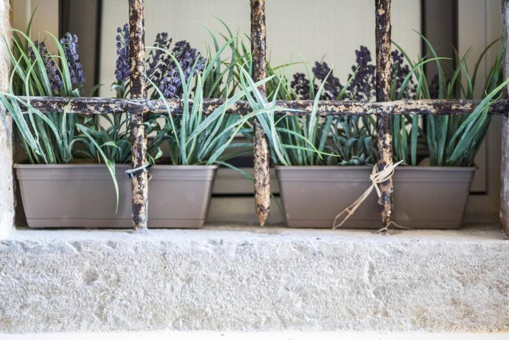 Paravento Lux Studio Corfu (city) Exterior foto